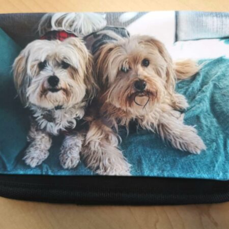 Cosmetic Bag