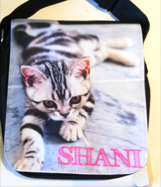 Shoulder Bag (Small)