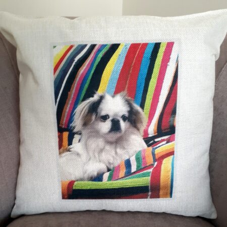 Cushion: Linen Scatter Cushion